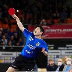 樊振东德甲新赛季，首秀时间确定，杜塞将安排空前隆重欢迎仪式